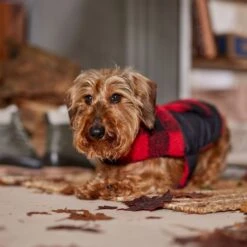 Frisco Reversible Medium Weight Boulder Plaid Dog & Cat Coat -Frisco Sales Store 717846 PT7. AC SS1800 V1692375977