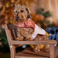 Frisco Medium Weight Fall Plaid Dog & Cat Coat -Frisco Sales Store 717942 PT7. AC SS1800 V1692378457