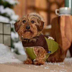 Frisco Heavy Weight 2-Tone Sherpa Lined Hybrid Quilted Dog & Cat Parka -Frisco Sales Store 718038 PT7. AC SS1800 V1692378337