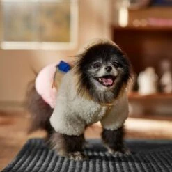 Frisco Colorblock Fleece Dog & Cat Hoodie W/ Pocket 18 Frisco Colorblock Fleece Dog & Cat Hoodie W/ Pocket -Frisco Sales Store 718278 PT7. AC SS1800 V1692375977