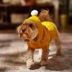 Frisco Sherpa Lined Chunky Cable Knit Dog & Cat Hooded Sweater -Frisco Sales Store 718374 PT7. AC SS1800 V1692379031