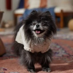 Frisco Sherpa Lined Chunky Cable Knit Dog & Cat Sweater 16 Frisco Sherpa Lined Chunky Cable Knit Dog & Cat Sweater -Frisco Sales Store 718518 PT7. AC SS1800 V1692378338