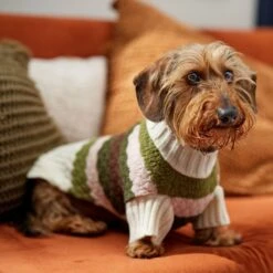 Frisco Bubble Knit Multi Striped Mock Neck Dog & Cat Sweater 16 Frisco Bubble Knit Multi Striped Mock Neck Dog & Cat Sweater -Frisco Sales Store 718854 PT7. AC SS1800 V1692378688