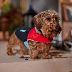 Frisco Medium Weight Retro Colorblock Mixed Media Dog & Cat Coat -Frisco Sales Store 719462 PT7. AC SS1800 V1692379031