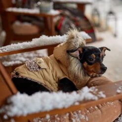 Frisco Heavy Weight Matte Quilted Dog & Cat Parka With Cozy Fleece Lining -Frisco Sales Store 719654 PT7. AC SS1800 V1692376037