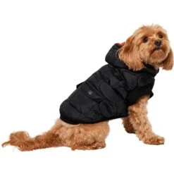 Frisco Heavy Weight Matte Quilted Volume Dog & Cat Puffer -Frisco Sales Store 719750 PT2. AC SS1800 V1703184628