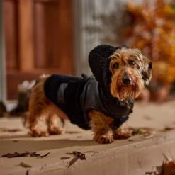 Frisco Medium Weight Faux Leather Dog & Cat Parka With Faux Fur Trimmed Hood, Black -Frisco Sales Store 719798 PT7. AC SS1800 V1692376307