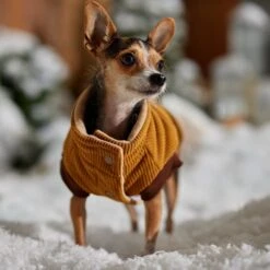 Frisco Heavy Weight Lux Corduroy Insulated Dog & Cat Coat With Fur Trimmed Hood 18 Frisco Heavy Weight Lux Corduroy Insulated Dog & Cat Coat With Fur Trimmed Hood -Frisco Sales Store 719966 PT7. AC SS1800 V1692377819