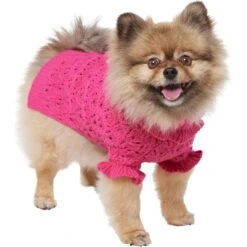 Frisco Ruffle Knit Pointelle Dog & Cat Turtleneck Sweater 12 Frisco Ruffle Knit Pointelle Dog & Cat Turtleneck Sweater -Frisco Sales Store 720646 PT2. AC SS1800 V1703194381