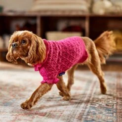 Frisco Ruffle Knit Pointelle Dog & Cat Turtleneck Sweater 16 Frisco Ruffle Knit Pointelle Dog & Cat Turtleneck Sweater -Frisco Sales Store 720646 PT7. AC SS1800 V1692379033