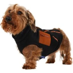 Frisco Light Weight Leopard Print Lined Fleece Dog & Cat Vest -Frisco Sales Store 720694 PT2. AC SS1800 V1703194382