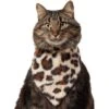 Frisco Leopard Faux Fur Dog & Cat Bandana