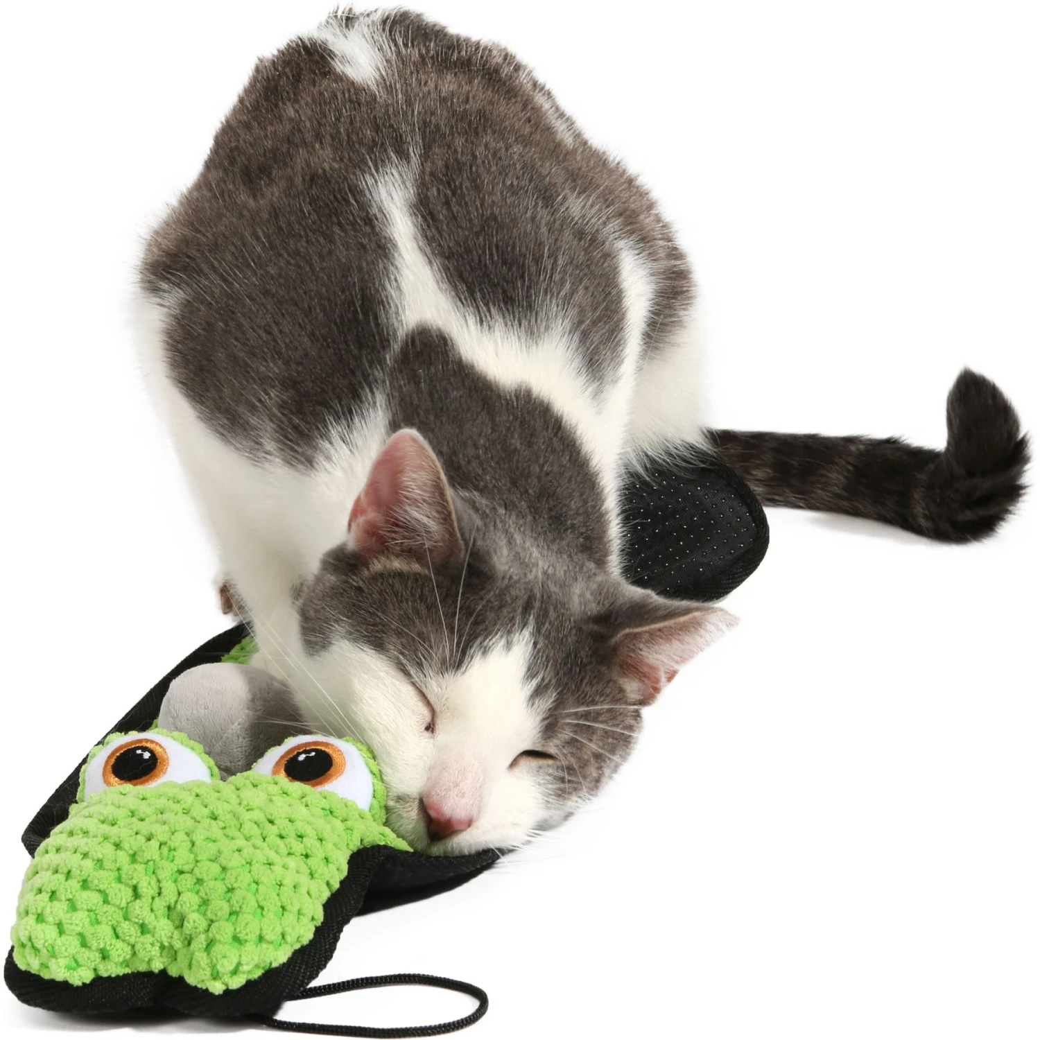 Frisco Natural Catnip & Hartz Cattraction Silver Vine & Catnip Gator Cat Scratcher Toy, Color Varies 11 Frisco Natural Catnip & Hartz Cattraction Silver Vine & Catnip Gator Cat Scratcher Toy, Color Varies - Image 9