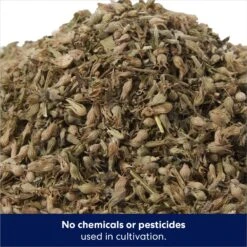 Frisco Natural Catnip & Hartz Just For Cats Mini Mice Cat Toy With Catnip, 5 Count 14 Frisco Natural Catnip & Hartz Just For Cats Mini Mice Cat Toy With Catnip, 5 Count -Frisco Sales Store 737478 PT3. AC SS1800 V1683212198