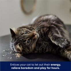 Frisco Natural Catnip & Hartz Just For Cats Mini Mice Cat Toy With Catnip, 5 Count 15 Frisco Natural Catnip & Hartz Just For Cats Mini Mice Cat Toy With Catnip, 5 Count -Frisco Sales Store 737478 PT4. AC SS1800 V1683212204