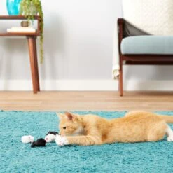 Frisco Natural Catnip & Hartz Just For Cats Mini Mice Cat Toy With Catnip, 5 Count 19 Frisco Natural Catnip & Hartz Just For Cats Mini Mice Cat Toy With Catnip, 5 Count -Frisco Sales Store 737478 PT8. AC SS1800 V1683212080