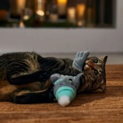 Frisco Holiday Interactive Flopping Seal Electronic Cat Toy With Catnip -Frisco Sales Store 740102 PT4. AC SS1800 V1695043876