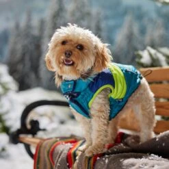 Frisco Heavy Weight Urban City Colorblock Dog & Cat Parka With Sherpa Lining -Frisco Sales Store 742262 PT7. AC SS1800 V1692378161