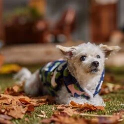 Frisco Medium Weight Urban City Camo Printed Dog & Cat Hooded Coat 18 Frisco Medium Weight Urban City Camo Printed Dog & Cat Hooded Coat -Frisco Sales Store 742358 PT7. AC SS1800 V1692376368