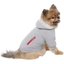 Frisco Sweatshirt Fleece Dog & Cat Hoodie With Sherpa Lining -Frisco Sales Store 742550 PT2. AC SS1800 V1703194378