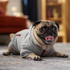 Frisco Sweatshirt Fleece Dog & Cat Hoodie With Sherpa Lining -Frisco Sales Store 742550 PT7. AC SS1800 V1692378690