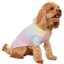 Frisco Soft Multi Stripe Ombre Dog & Cat Hooded Sweater -Frisco Sales Store 742838 PT2. AC SS1800 V1703194379