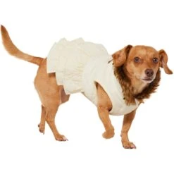 Frisco Medium Weight Quilted Ruffle Tiered Dog & Cat Dress -Frisco Sales Store 744262 PT2. AC SS1800 V1703194436