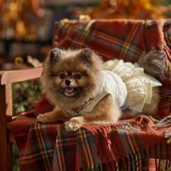 Frisco Medium Weight Quilted Ruffle Tiered Dog & Cat Dress -Frisco Sales Store 744262 PT7. AC SS1800 V1693401666