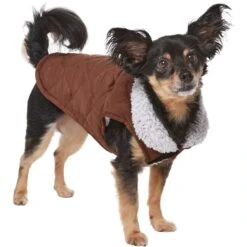 Frisco Medium Weight Quilted Dog & Cat Coat With Cozy Sherpa Lining -Frisco Sales Store 744310 PT2. AC SS1800 V1703194386