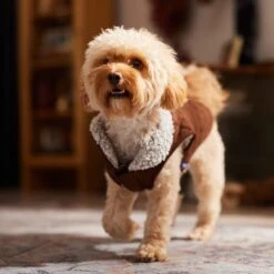 Frisco Medium Weight Quilted Dog & Cat Coat With Cozy Sherpa Lining -Frisco Sales Store 744310 PT7. AC SS1800 V1692375981