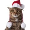 Frisco Chunky Knit Santa Dog & Cat Hat -Frisco Sales Store 744878 MAIN. AC SS1800 V1694812847