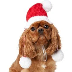 Frisco Chunky Knit Santa Dog & Cat Hat -Frisco Sales Store 744878 PT2. AC SS1800 V1694812755