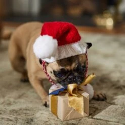 Frisco Chunky Knit Santa Dog & Cat Hat -Frisco Sales Store 744878 PT5. AC SS1800 V1694793814