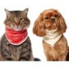 Frisco Reversible Candy Cane Cozy Knit Faux Fur Dog & Cat Pullover Bandana, 1 Count 2 Frisco Reversible Candy Cane Cozy Knit Faux Fur Dog & Cat Pullover Bandana, 1 Count -Frisco Sales Store 745294 MAIN. AC SS1800 V1694813782
