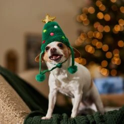 Frisco Christmas Tree Faux Fur Dog & Cat Hat -Frisco Sales Store 745582 PT5. AC SS1800 V1694793444