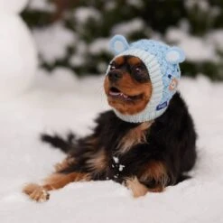 Frisco Nordic Ears Sweater Knit Dog & Cat Hat -Frisco Sales Store 745710 PT5. AC SS1800 V1695671059