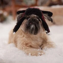 Frisco Tartan Plaid Dog & Cat Trapper Hat 14 Frisco Tartan Plaid Dog & Cat Trapper Hat -Frisco Sales Store 746750 PT5. AC SS1800 V1694800749