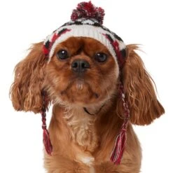 Frisco Nordic Pawprint Dog & Cat Hat -Frisco Sales Store 746782 PT2. AC SS1800 V1694814415