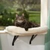 Frisco Plush Cat Window Perch With Removeable Bolster -Frisco Sales Store 804630 MAIN. AC SS1800 V1695933061