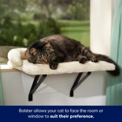 Frisco Plush Cat Window Perch With Removeable Bolster -Frisco Sales Store 804630 PT3. AC SS1800 V1695933062
