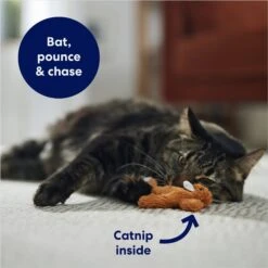 Frisco Squirrel Plush Cat Toy With Refillable Catnip & Frisco Bird With Feathers Teaser Wand Cat Toy With Catnip 14 Frisco Squirrel Plush Cat Toy With Refillable Catnip & Frisco Bird With Feathers Teaser Wand Cat Toy With Catnip -Frisco Sales Store 962030 PT3. AC SS1800 V1694783954