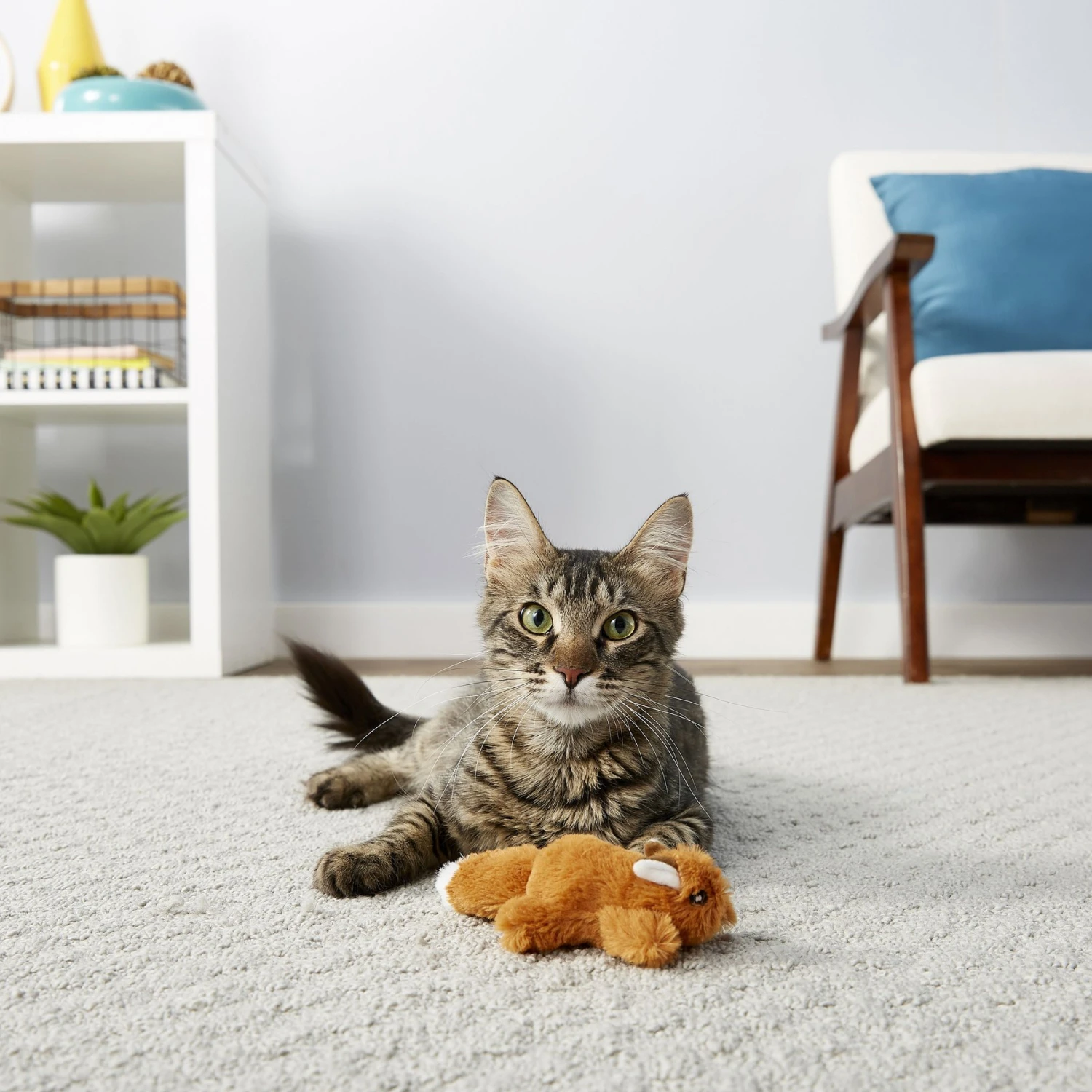 Frisco Squirrel Plush Cat Toy With Refillable Catnip & Frisco Bird With Feathers Teaser Wand Cat Toy With Catnip 7 Frisco Squirrel Plush Cat Toy With Refillable Catnip & Frisco Bird With Feathers Teaser Wand Cat Toy With Catnip - Image 5