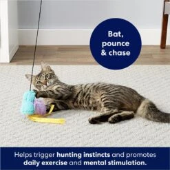 Frisco Squirrel Plush Cat Toy With Refillable Catnip & Frisco Bird With Feathers Teaser Wand Cat Toy With Catnip 19 Frisco Squirrel Plush Cat Toy With Refillable Catnip & Frisco Bird With Feathers Teaser Wand Cat Toy With Catnip -Frisco Sales Store 962030 PT8. AC SS1800 V1694783953