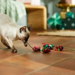 Frisco Holiday Santa Hat & Mistletoe Cat Tracks Cat Toy & Frisco Holiday Mice Cat Toy With Catnip, 5 Count -Frisco Sales Store 986278 PT7. AC SS1800 V1698257787